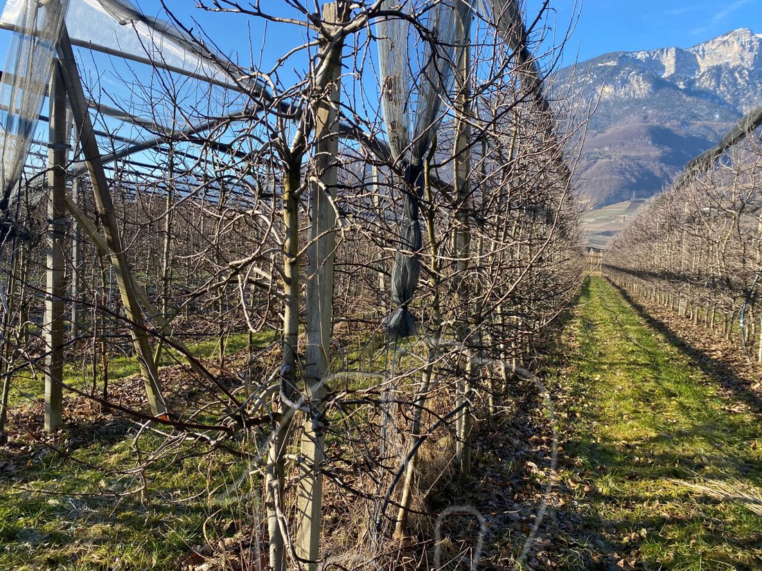Land in Kaltern / Kaltern an der Weinstraße, Trentino – Alto Adige/Südtirol, Italy 3 - 12485265