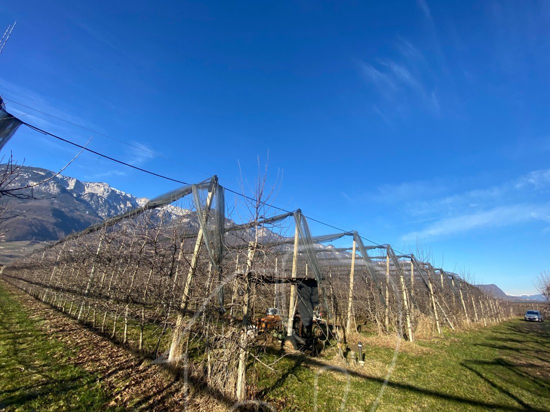 Land in Kaltern / Kaltern an der Weinstraße, Trentino – Alto Adige/Südtirol, Italy 3 - 12485258