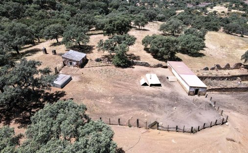 Land in Cazalla de la Sierra, Andalusia, Spain 1