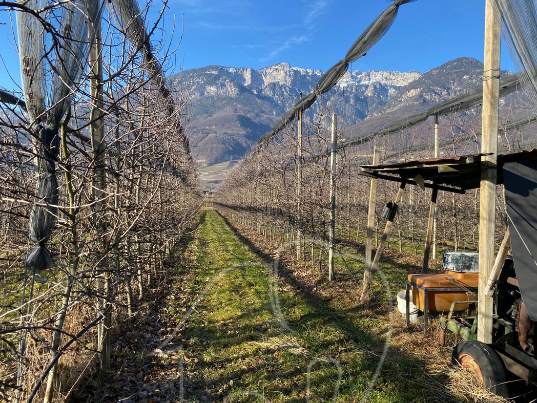 Land in Kaltern / Kaltern an der Weinstraße, Trentino – Alto Adige/Südtirol, Italy 5 - 12485265