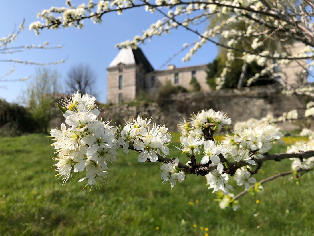 House in Vieux Bergerac, Bergerac, France 4 - 16893297