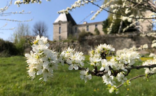 16th C Castle With Outbuildings, Perfectly Renovated