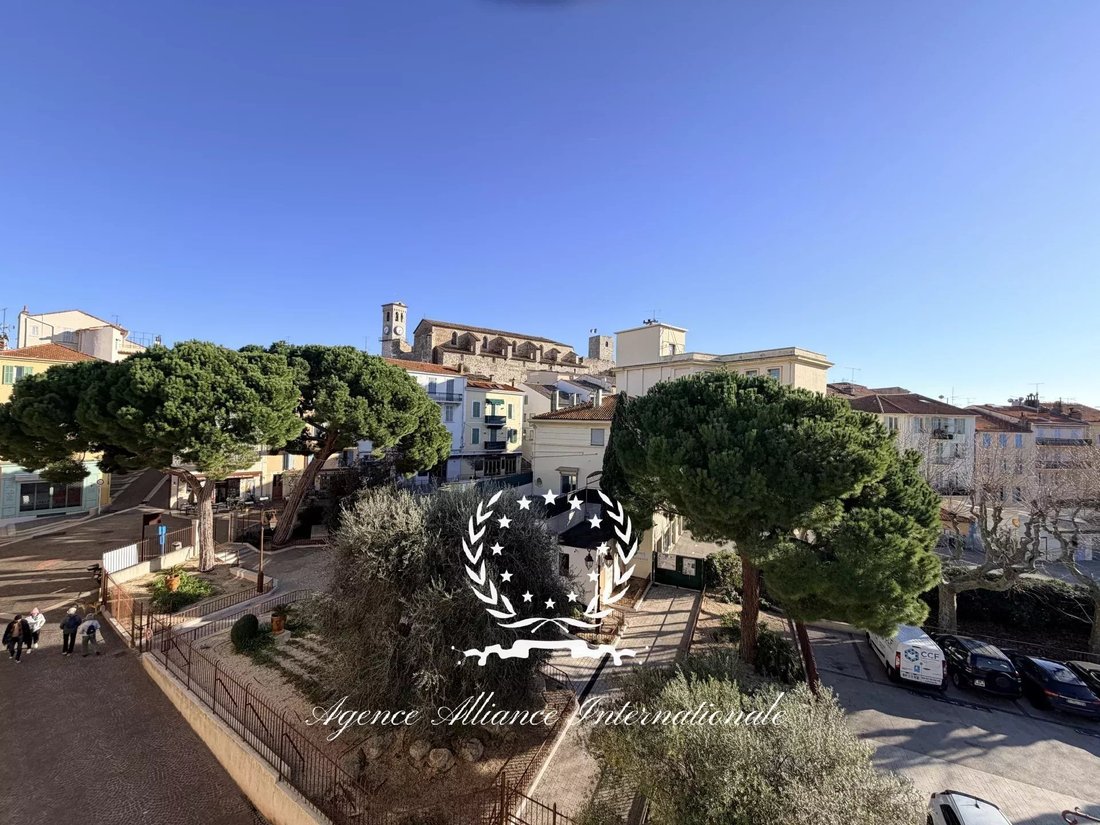 Cannes, Provence-Alpes-Côte d'Azur, France 3 - 16893238