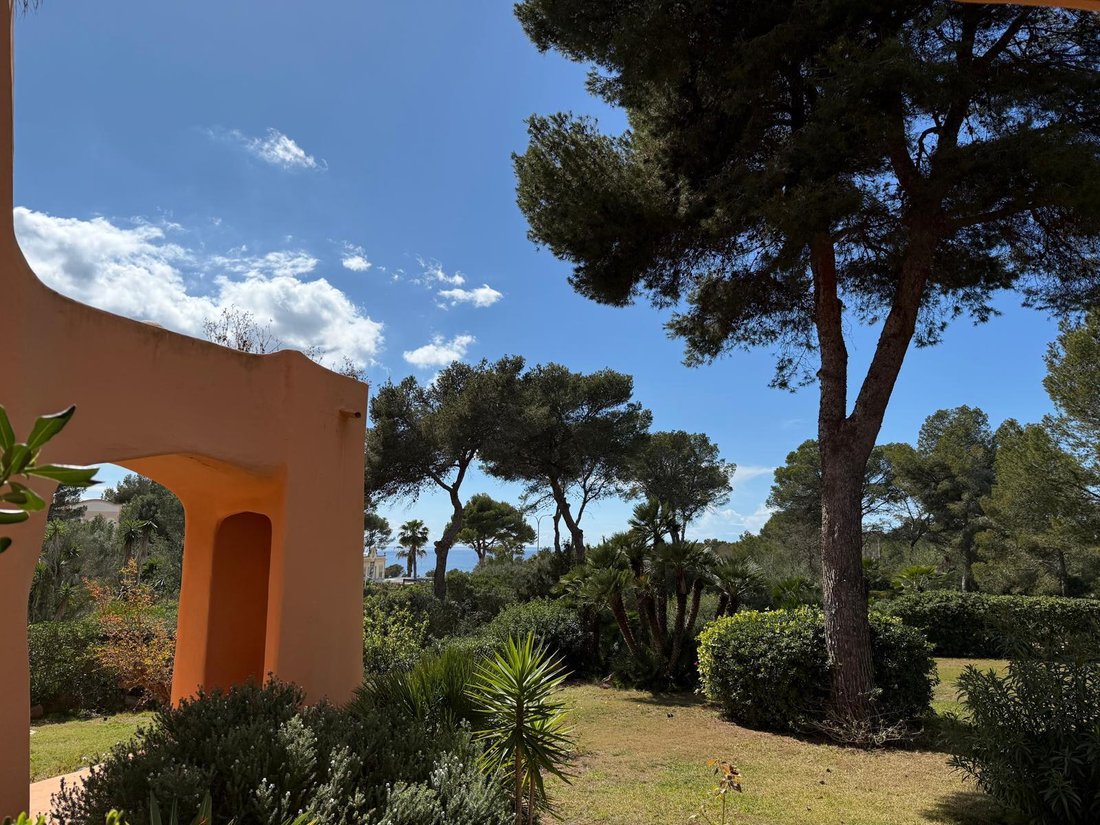 Apartment in Rotes Velles, Calvia, Balearic Islands 5 - 16891010