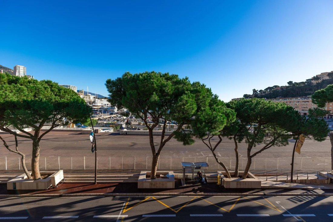 Apartment in Monaco, Monaco 5 - 16892788