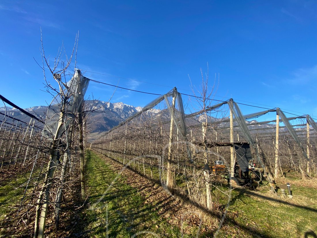 Land in Kaltern / Kaltern an der Weinstraße, Trentino – Alto Adige/Südtirol, Italy 4 - 12485265