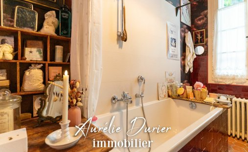 Castle for Sale in Tours, Centre-Val de Loire, France