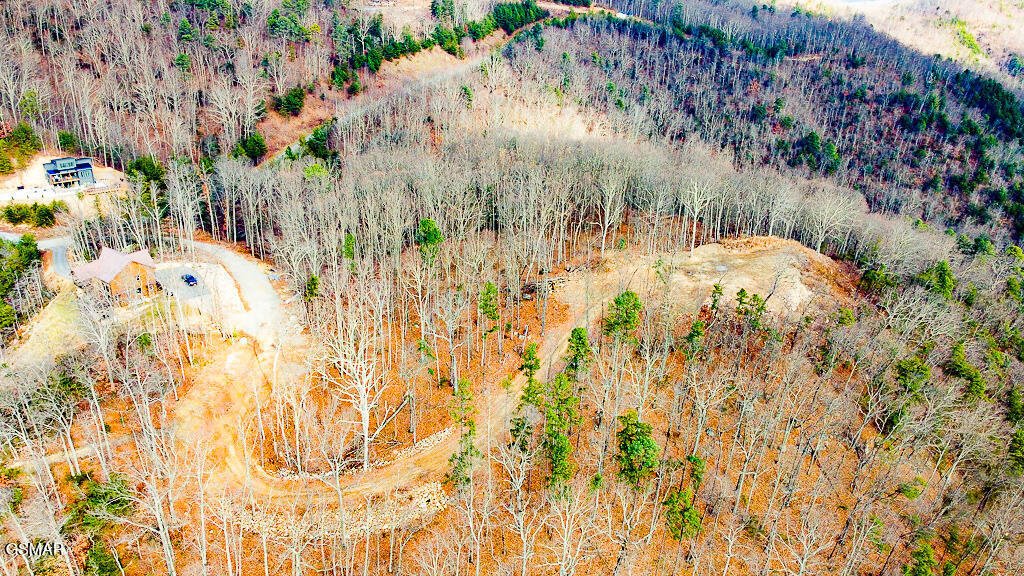Land in Sevierville, Tennessee, United States 2 - 16892529