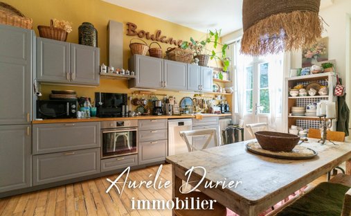 Castle for Sale in Tours, Centre-Val de Loire, France