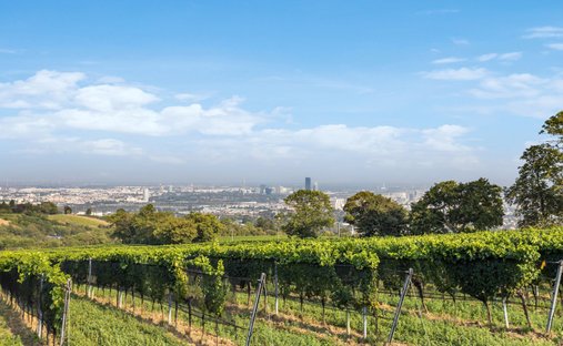 Castle for Sale in Vienna, Wien, Austria