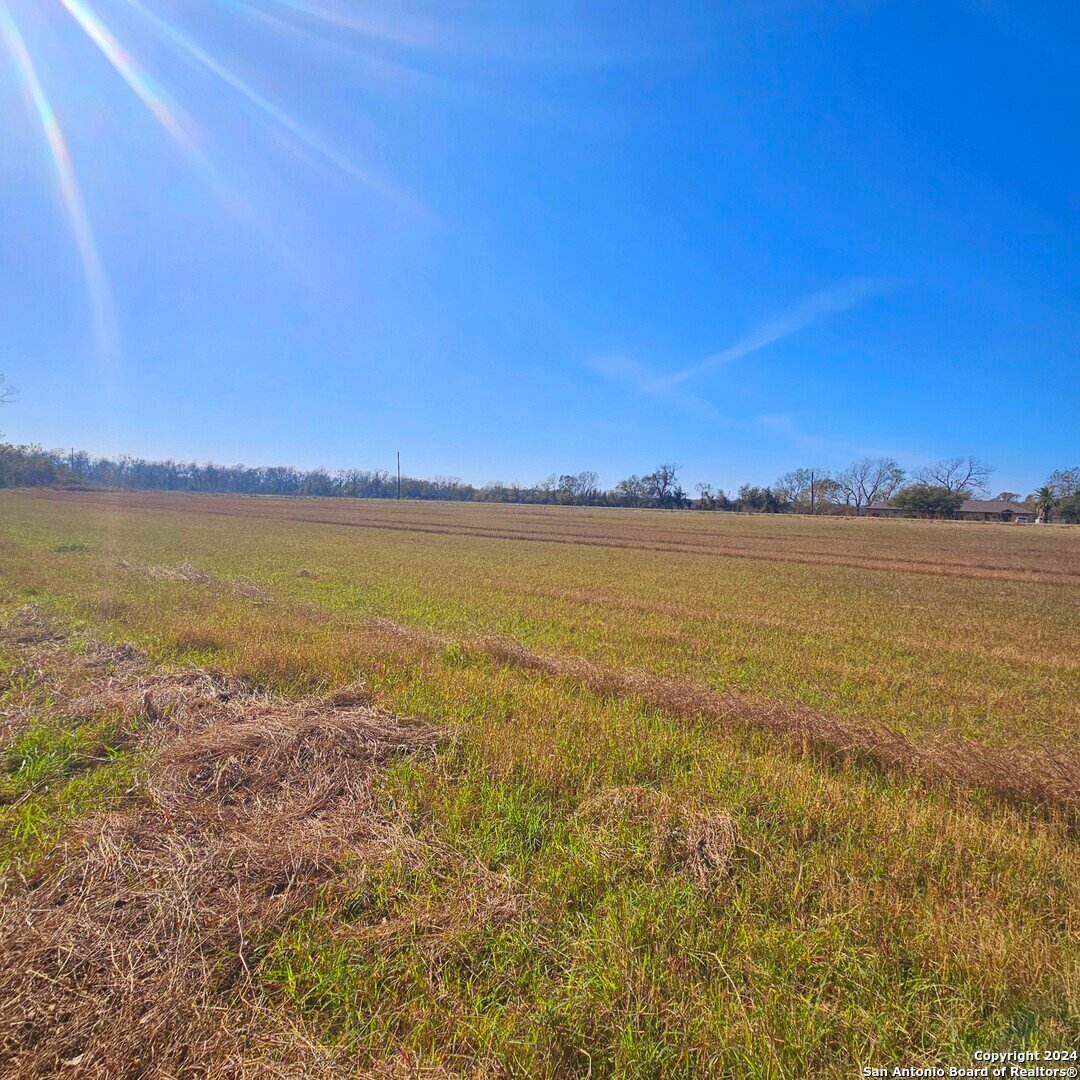 Farm Ranch in Wharton, Texas, United States 1 - 16894148