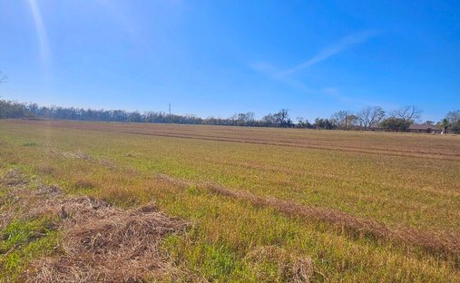 Corps de ferme à Wharton, Texas, États-Unis 1