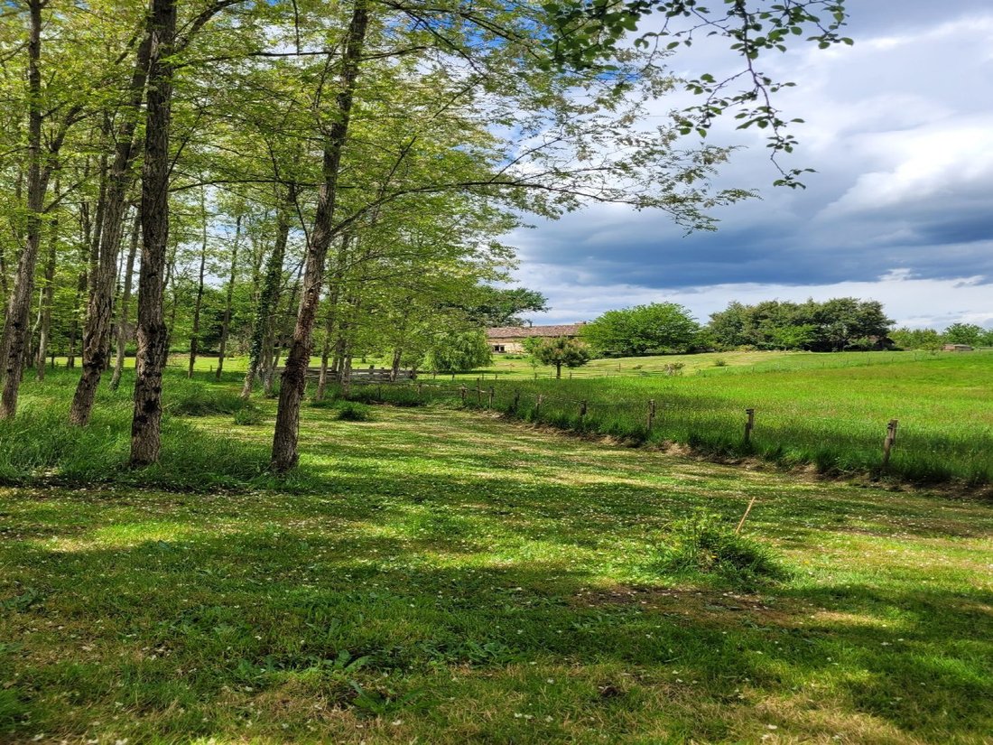 House in Bazas, Nouvelle-Aquitaine, France 4 - 16894696