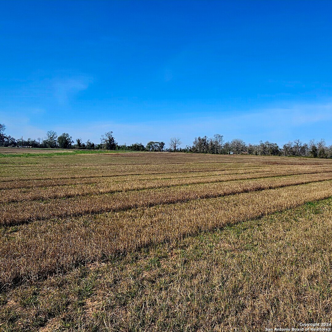 Farm Ranch in Wharton, Texas, United States 3 - 16894148