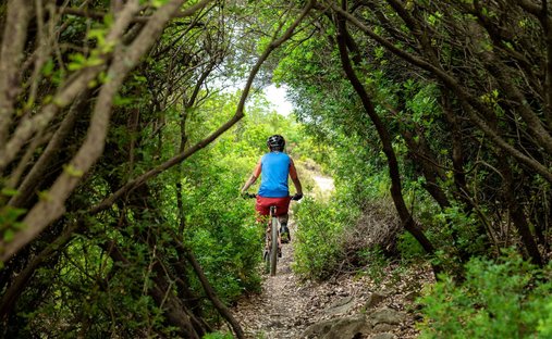 Castle for Sale in Montalto Dora, Italy