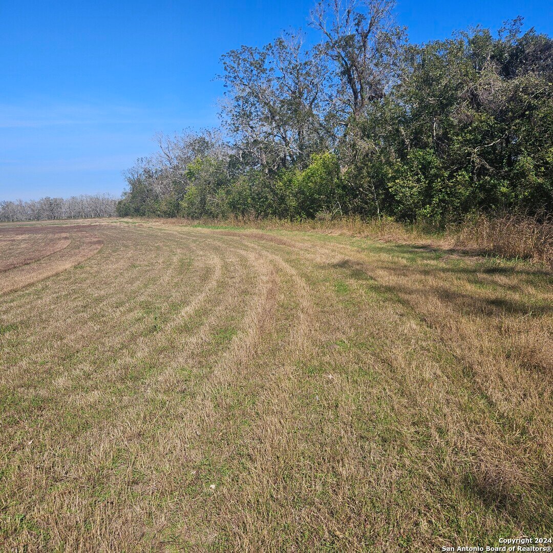 Farm Ranch in Wharton, Texas, United States 5 - 16894148