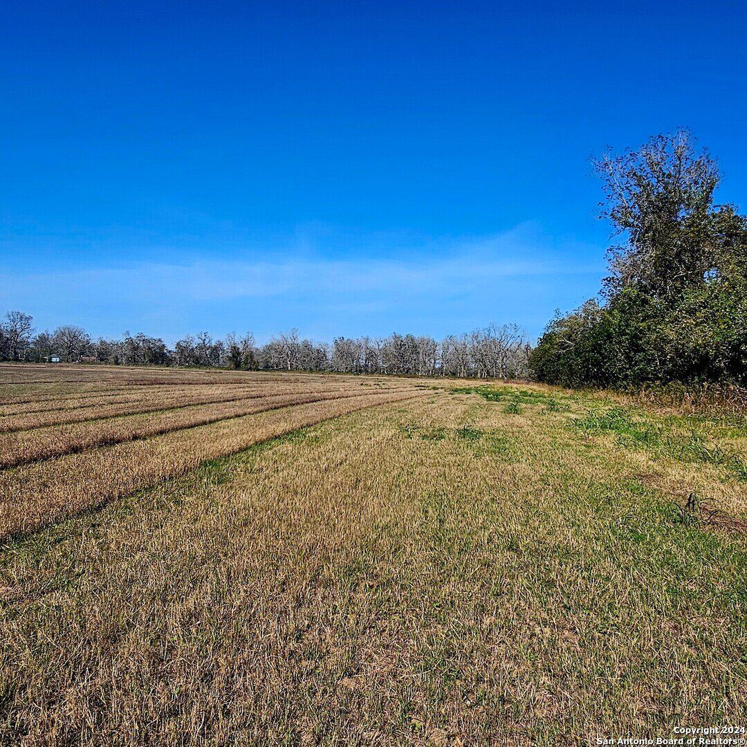 Farm Ranch in Wharton, Texas, United States 4 - 16894148