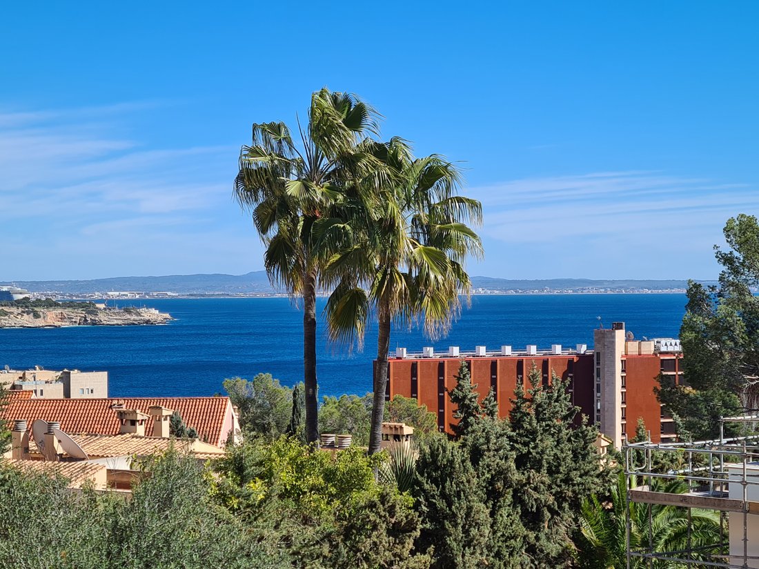 Apartment in Cas Catala, Calvia, Balearic Islands 1 - 16891492