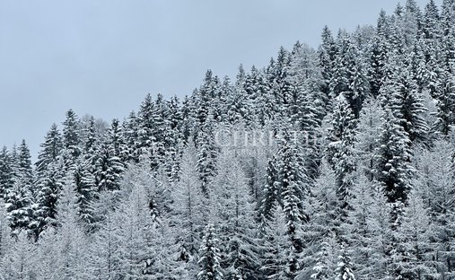 Castle for Sale in Merano, Trentino-South Tyrol, Italy
