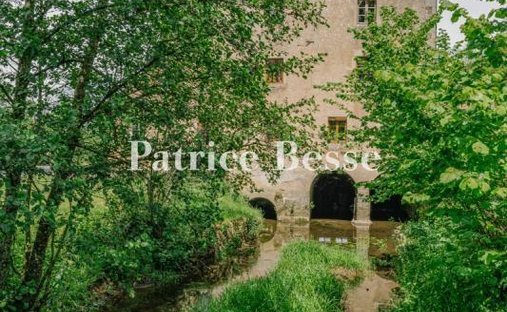 Castle for Sale in Dijon, Bourgogne-Franche-Comté, France - 5