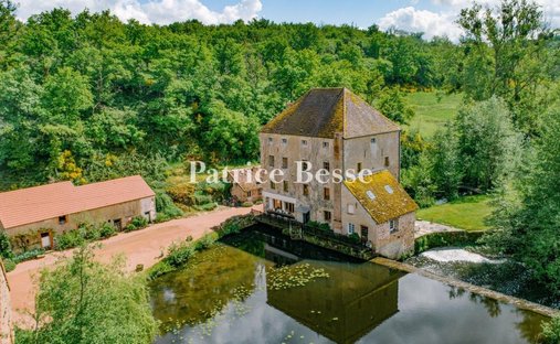 Castle for Sale in Dijon, Bourgogne-Franche-Comté, France - 3