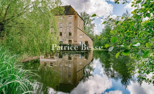 Castle for Sale in Dijon, Bourgogne-Franche-Comté, France - 4