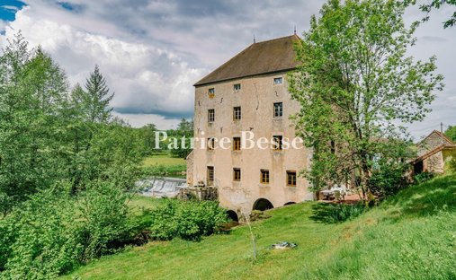 Castle for Sale in Dijon, Bourgogne-Franche-Comté, France