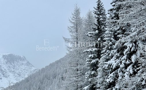 Castle for Sale in Merano, Trentino-South Tyrol, Italy