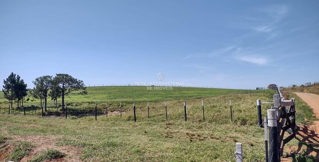 Farm Ranch in Ronco, State of Paraná, Brazil 2 - 16178270