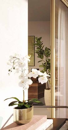 Apartment in Plateau de la Heve, Sainte-Adresse, France 2 - 16895307