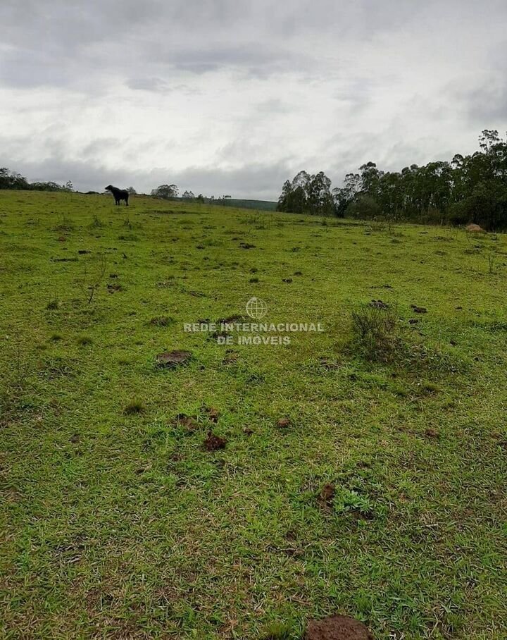 Farm Ranch in Rio de Janeiro, State of Rio de Janeiro, Brazil 1 - 16178490