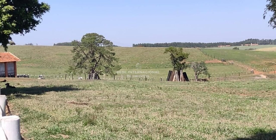 Farm Ranch in Ronco, State of Paraná, Brazil 5 - 16178270