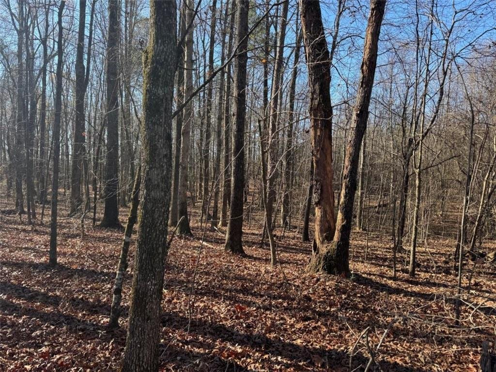Land in Bogart, Georgia, United States 4 - 16895852