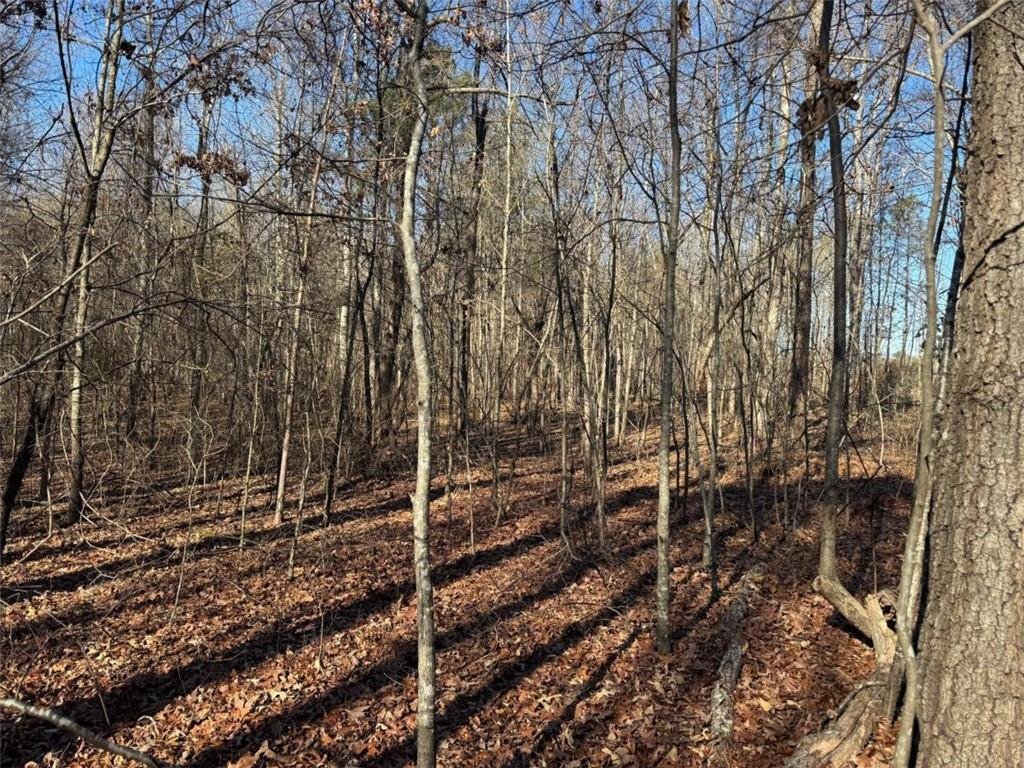 Land in Bogart, Georgia, United States 3 - 16895852