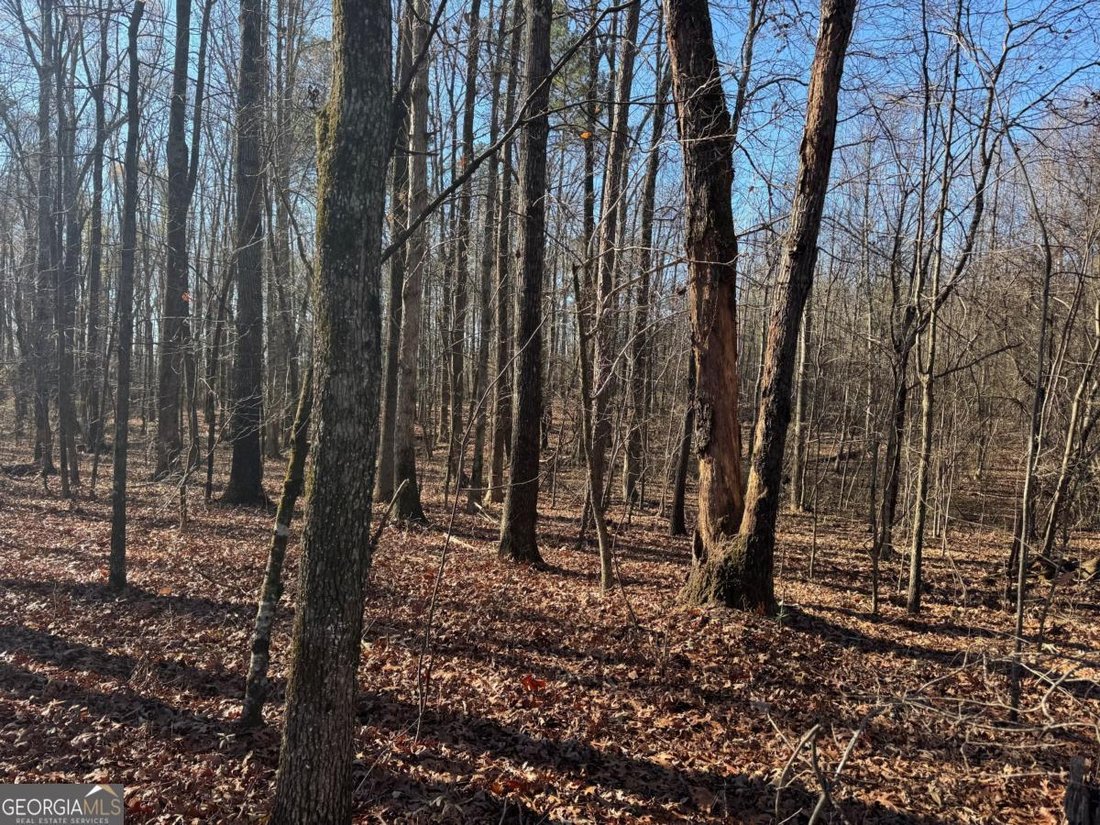 Farm Ranch in Ringgold, Georgia, United States 5 - 16895850
