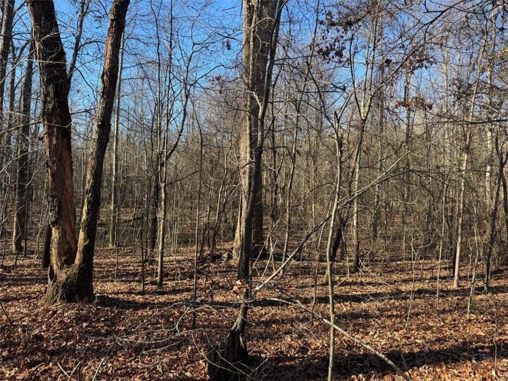 Land in Bogart, Georgia, United States 2 - 16895852