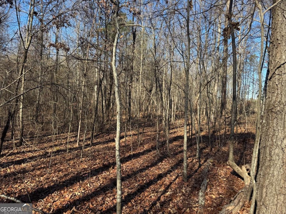 Farm Ranch in Ringgold, Georgia, United States 4 - 16895850