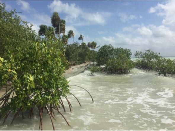 Private Island in El Jordán, Quintana Roo, Mexico 4 - 16899646