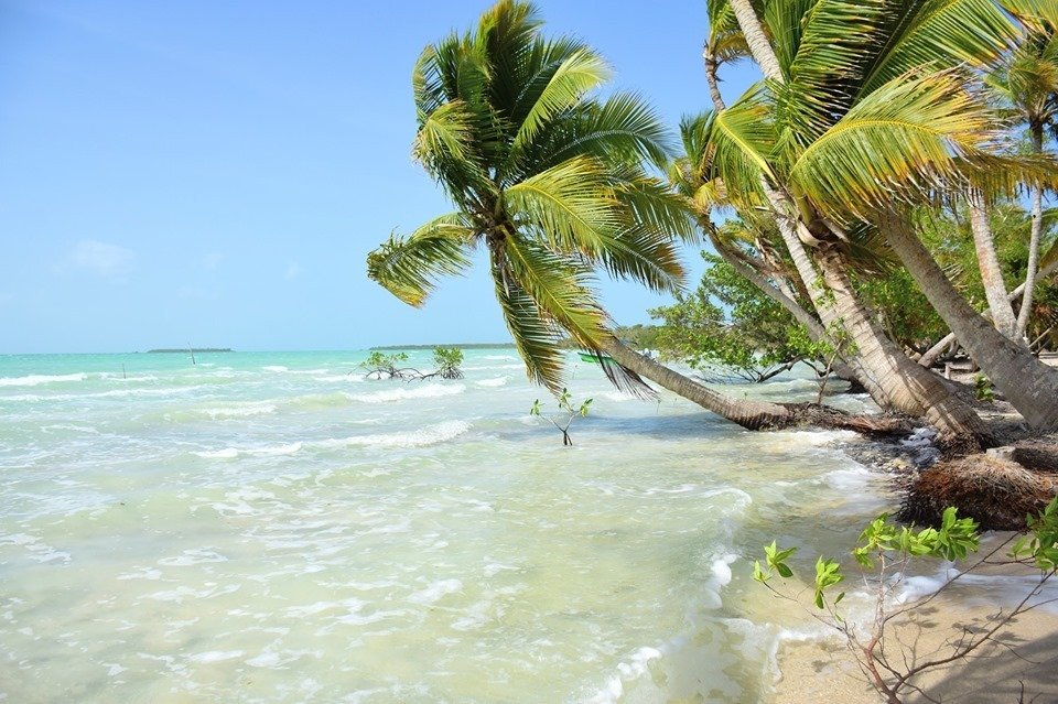 Private Island in El Jordán, Quintana Roo, Mexico 3 - 16899646