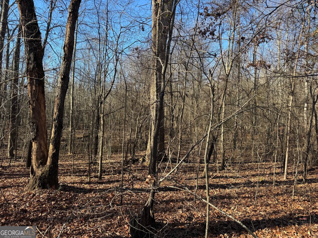 Farm Ranch in Adel, Georgia, United States 4 - 16895851
