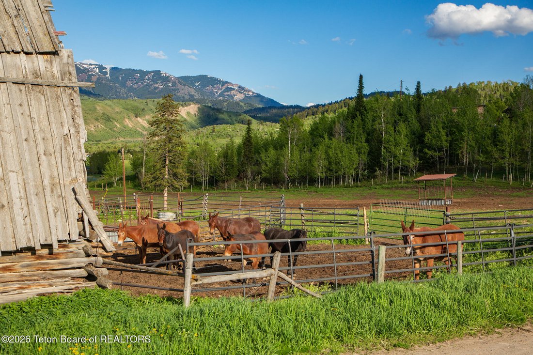 Land in Jackson, Wyoming, United States 5 - 16901614