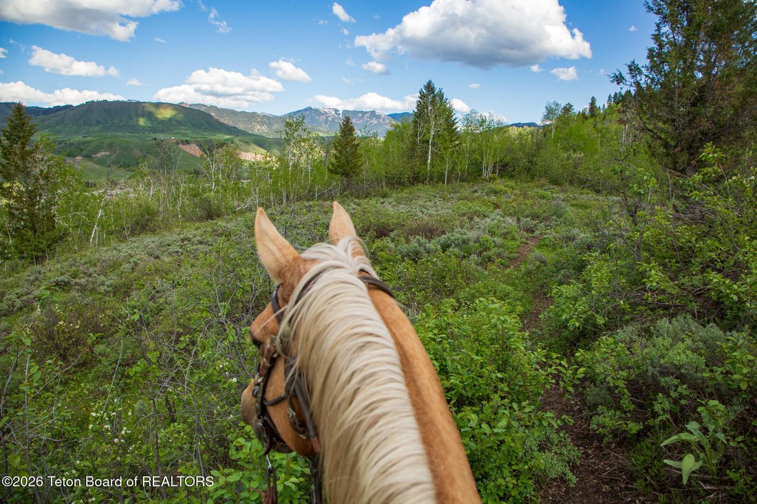 Land in Jackson, Wyoming, United States 3 - 16901614