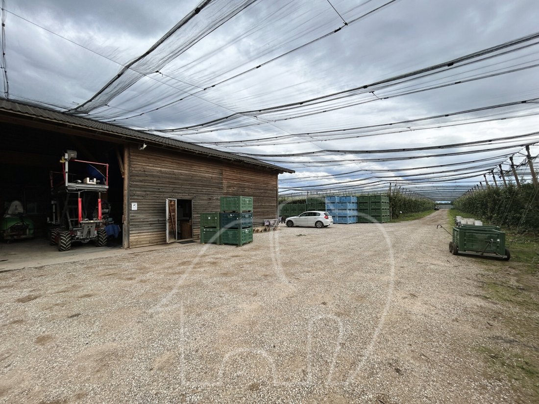 Land in Castions di Strada / Cjasteons di Strade, Friuli – Venezia Giulia, Italy 3 - 14386420