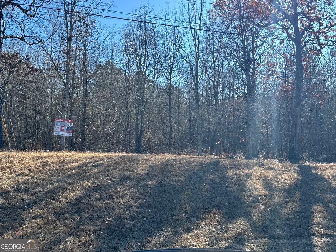 Farm Ranch in Adel, Georgia, United States 5 - 16895851