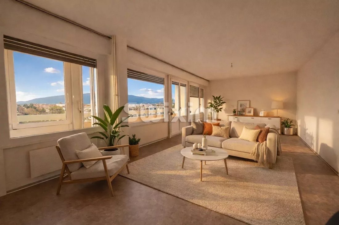 Spacious Modern Duplex In Thônex