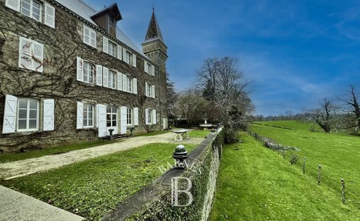 Castle in Coligny, Auvergne-Rhône-Alpes, France 1