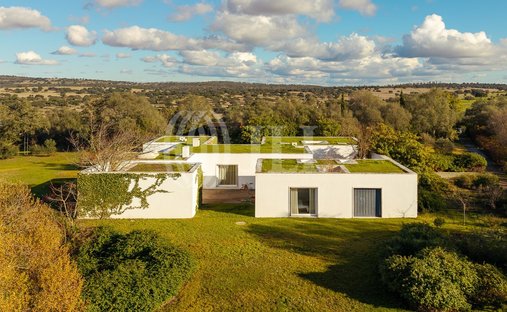Finca en Alcáçovas, Distrito de Évora, Portugal 1