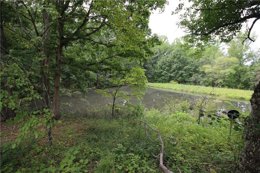 Terrain à Woodstock, Géorgie, États-Unis 3 - 16901716
