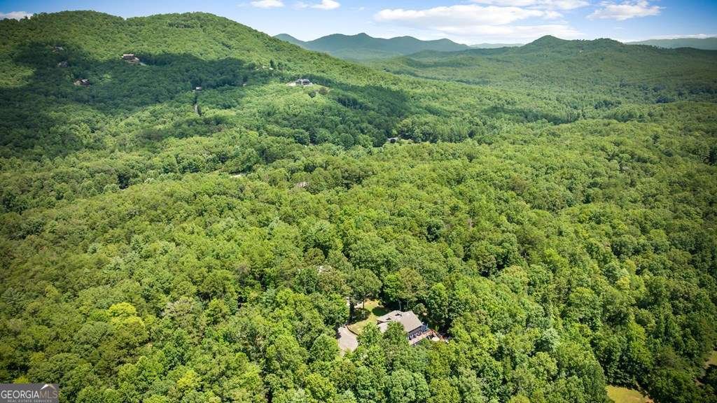 House in Mineral Bluff, Georgia, United States 1 - 16901281