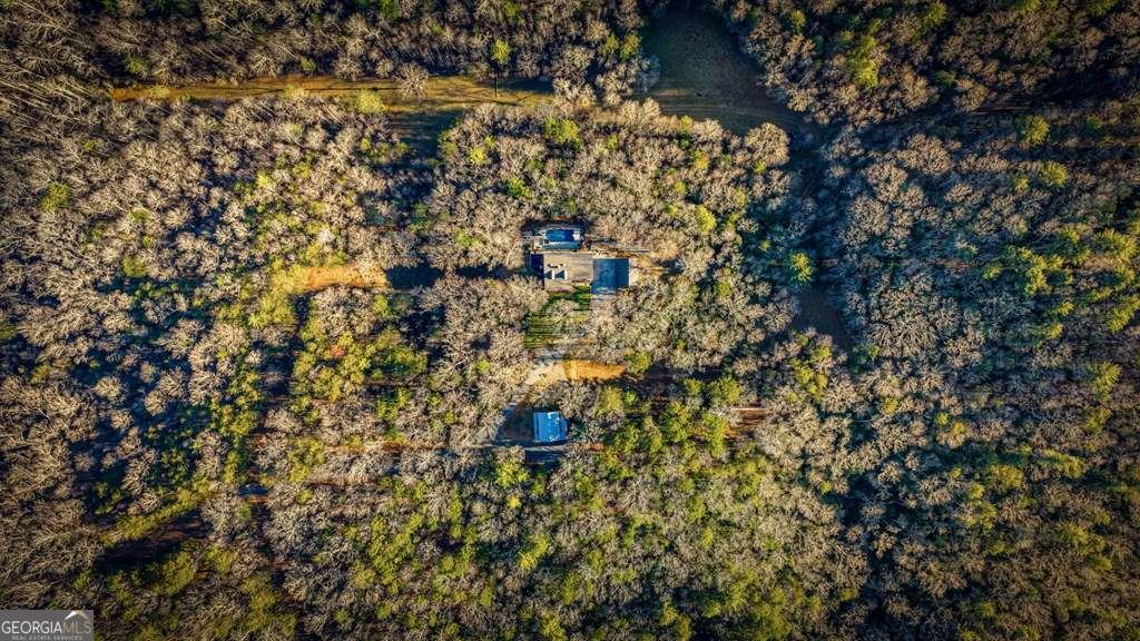 House in Mineral Bluff, Georgia, United States 5 - 16901281